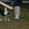 foire-haricots 2011-09-17et18